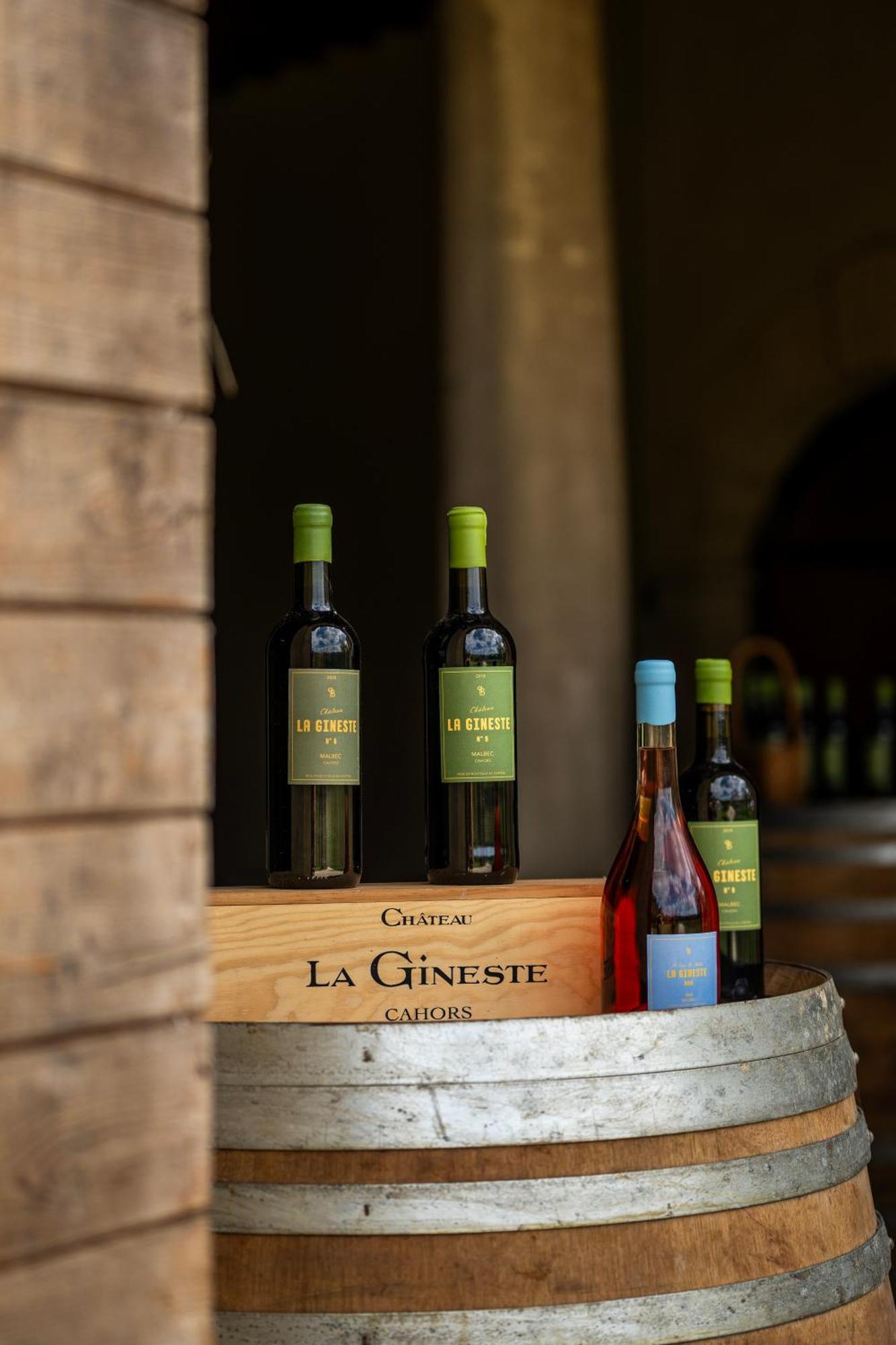 Chateau La Gineste - Castle And Vineyard Duravel Esterno foto